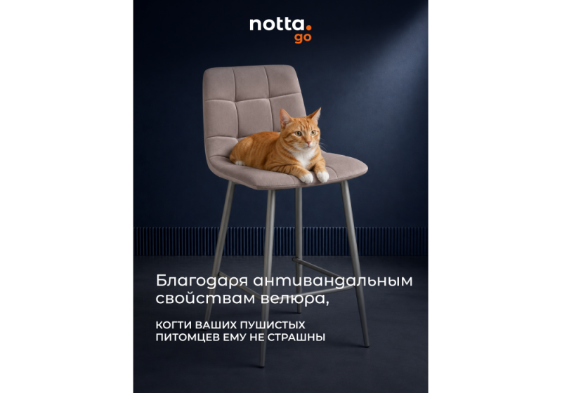 Барный стул Чилли Мини латте (zd 290) / серый (45x53x93)