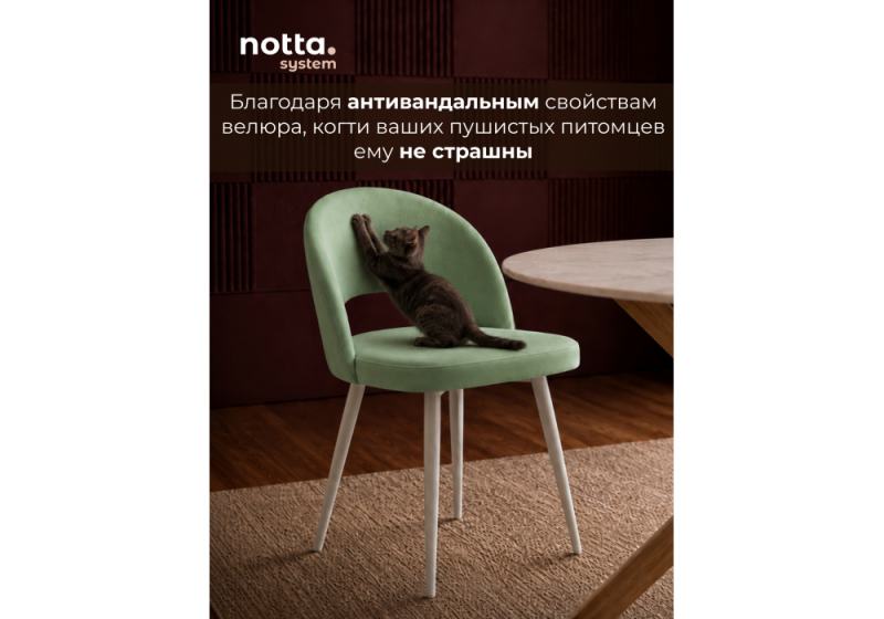 Стул на металлокаркасе Курбис фисташковый (zd 651) / белый (48x55x85)