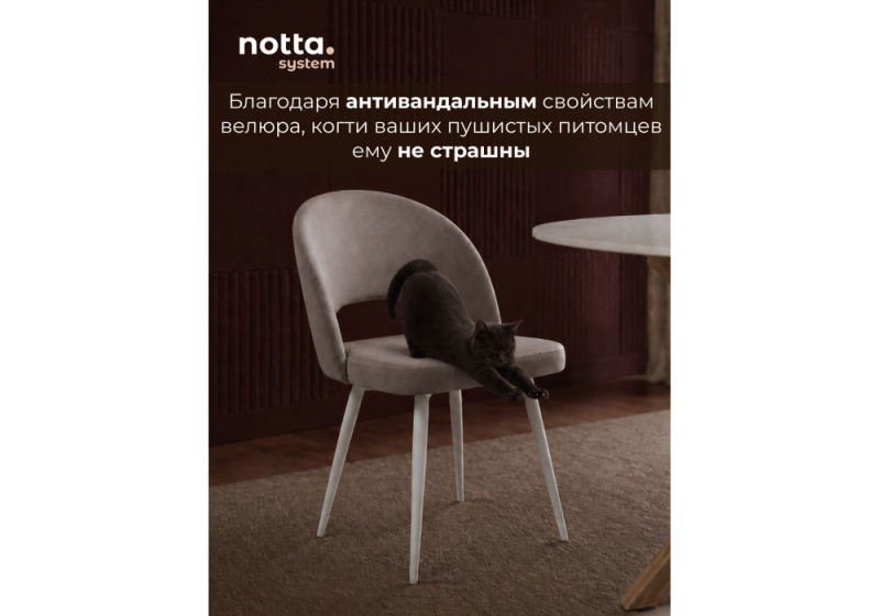 Стул на металлокаркасе Курбис 360 латте (zd 290) / белый (48x55x85)
